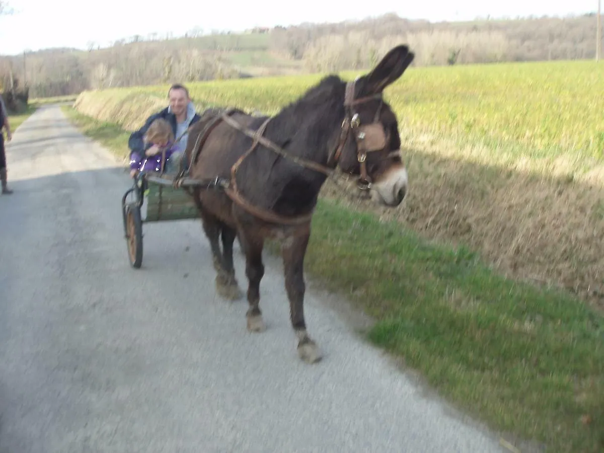Chez Marie Et Christian Villa La Boussac 0*,